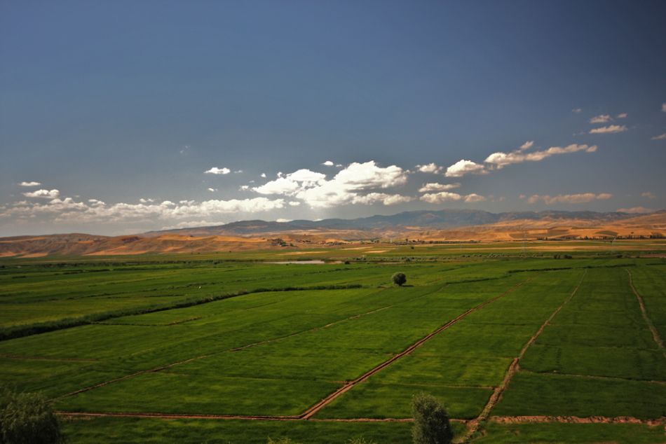 Doğal Hayat — Dogal Hayat 1550