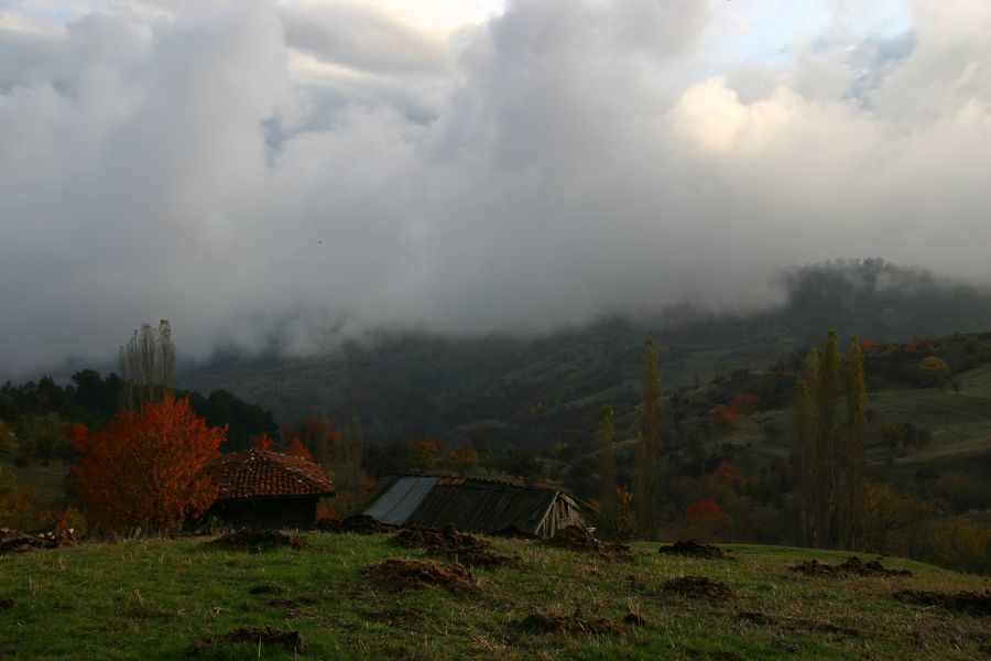 Doğal Hayat — Dogal Hayat 2065