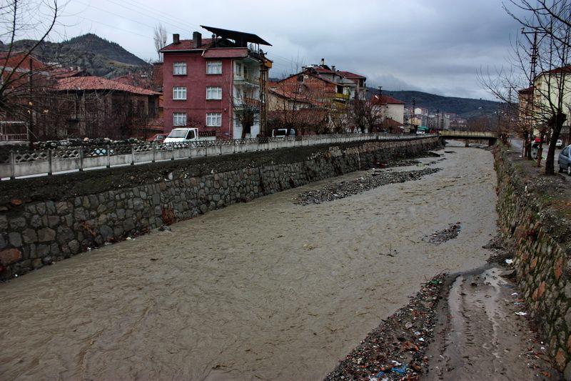 Doğal Hayat — Dogal Hayat 2213