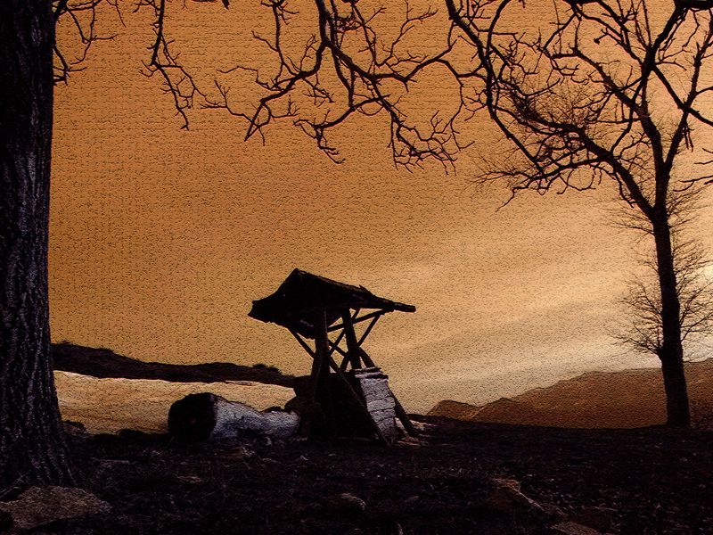Doğal Hayat — Dogal Hayat 497