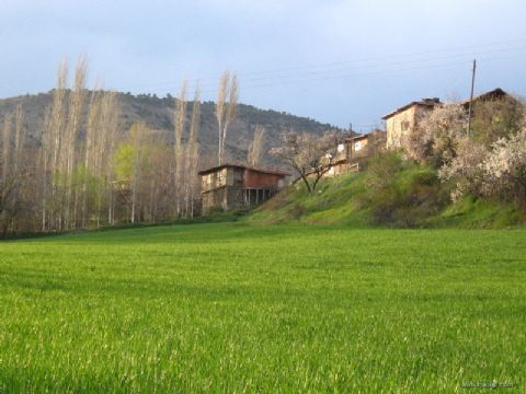 Genel — Genel 180