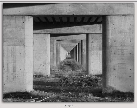 Genel — Genel 341