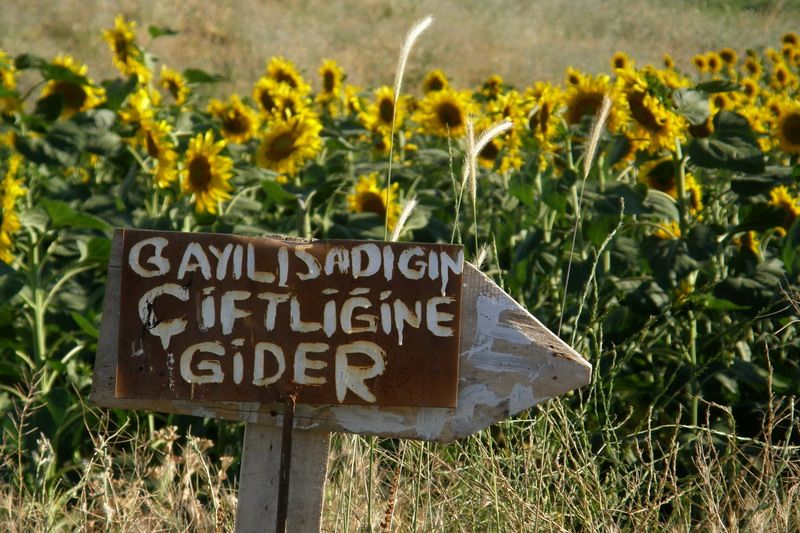 Kızılırmak — Kizilirmak 1510