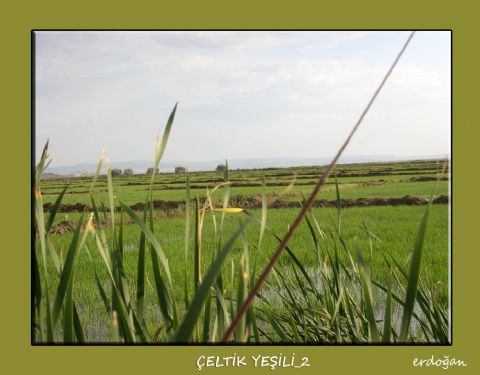 Kızılırmak — Kizilirmak 304