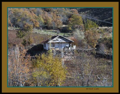 Kültürel Yaşam — Kulturel Yasam 268