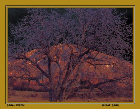Manzara — Manzara 327