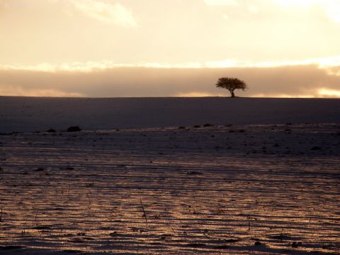Manzara — Manzara 400