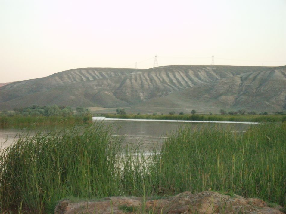Sizden Gelenler — sizden gelenler 1693