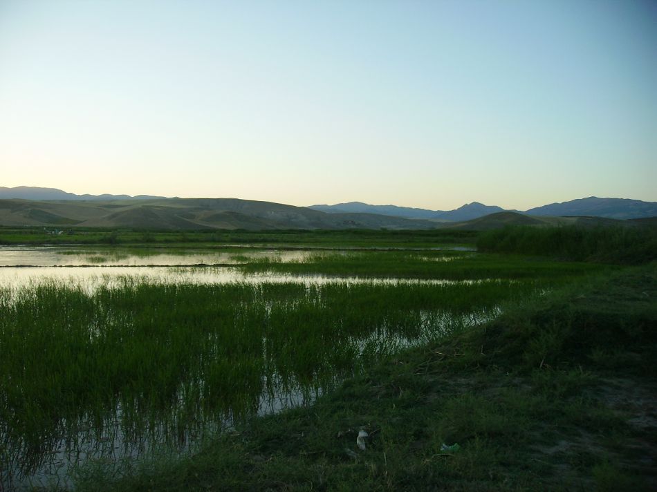 Sizden Gelenler — sizden gelenler 1696