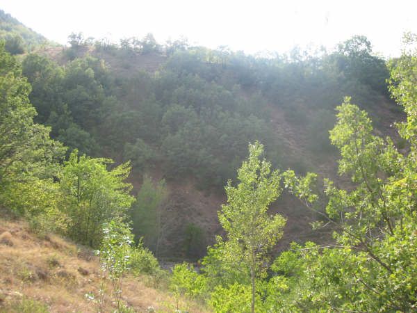 Sizden Gelenler — sizden gelenler 1710