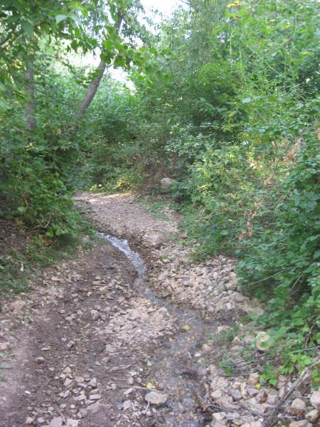 Sizden Gelenler — sizden gelenler 1716