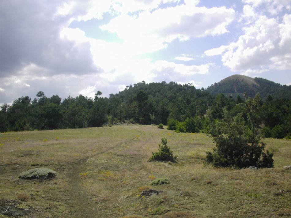Sizden Gelenler — sizden gelenler 1809