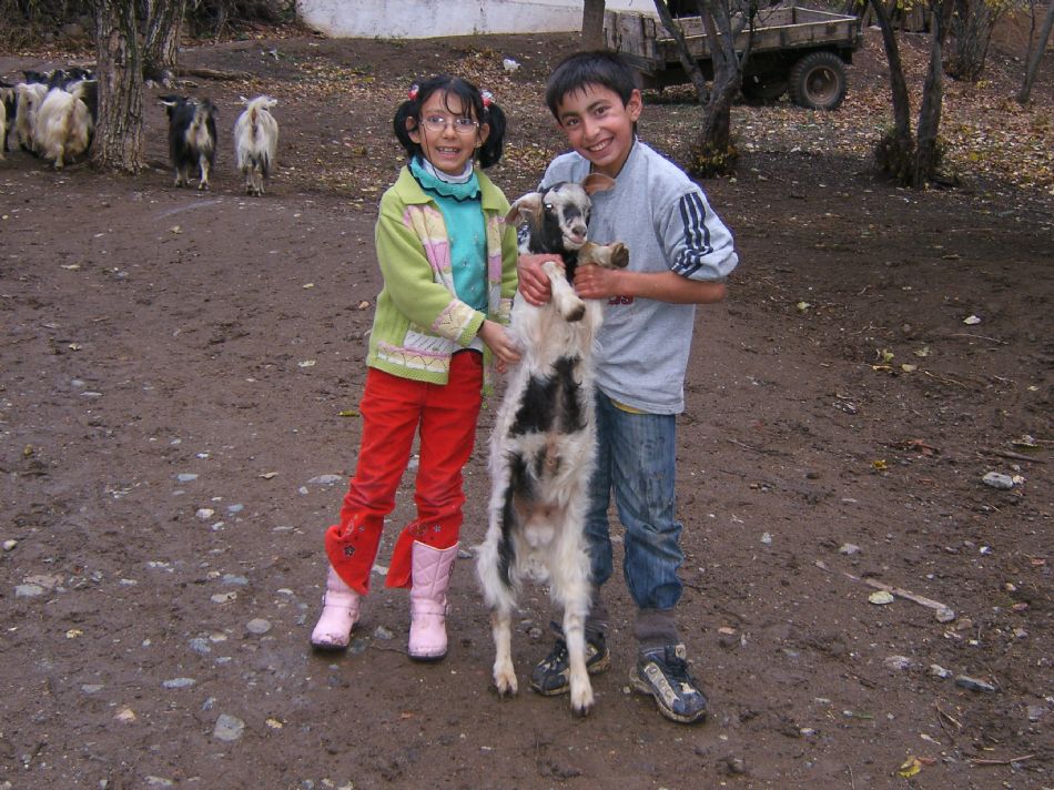 Sizden Gelenler — sizden gelenler 2005