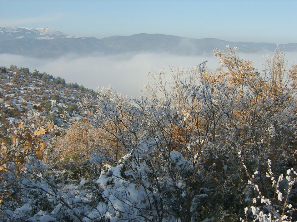 Sizden Gelenler — sizden gelenler 2119