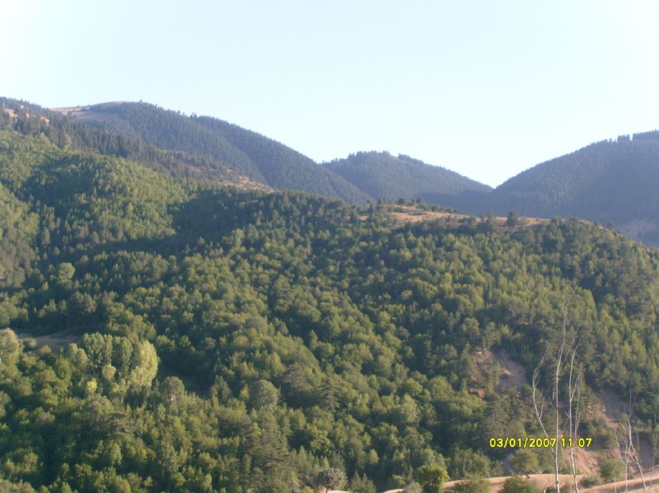Sizden Gelenler — sizden gelenler 2131