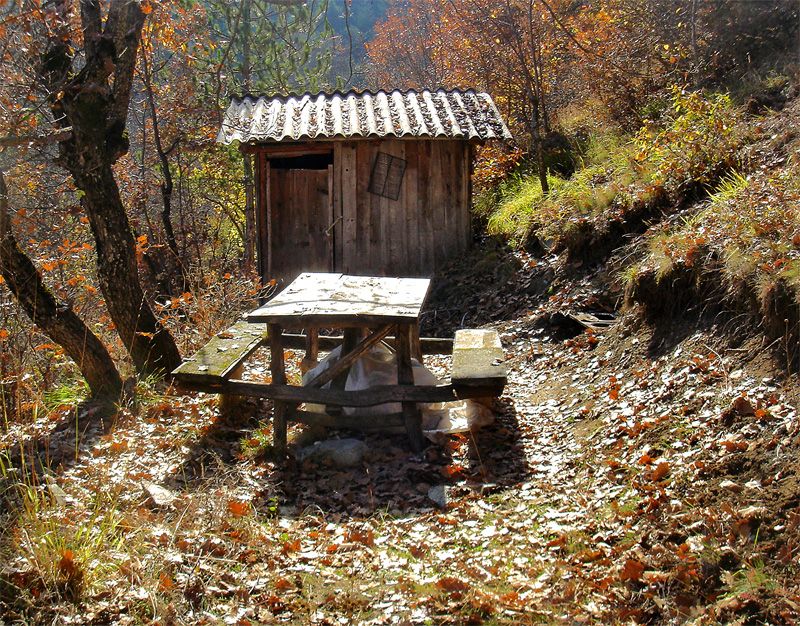 Sizden Gelenler — sizden gelenler 2137