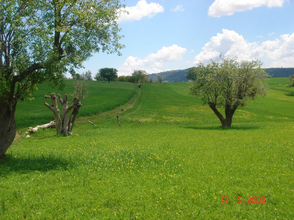 Sizden Gelenler — sizden gelenler 1206