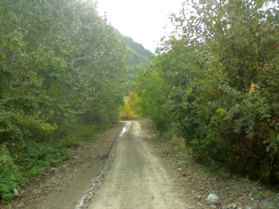 Sizden Gelenler — sizden gelenler 2163