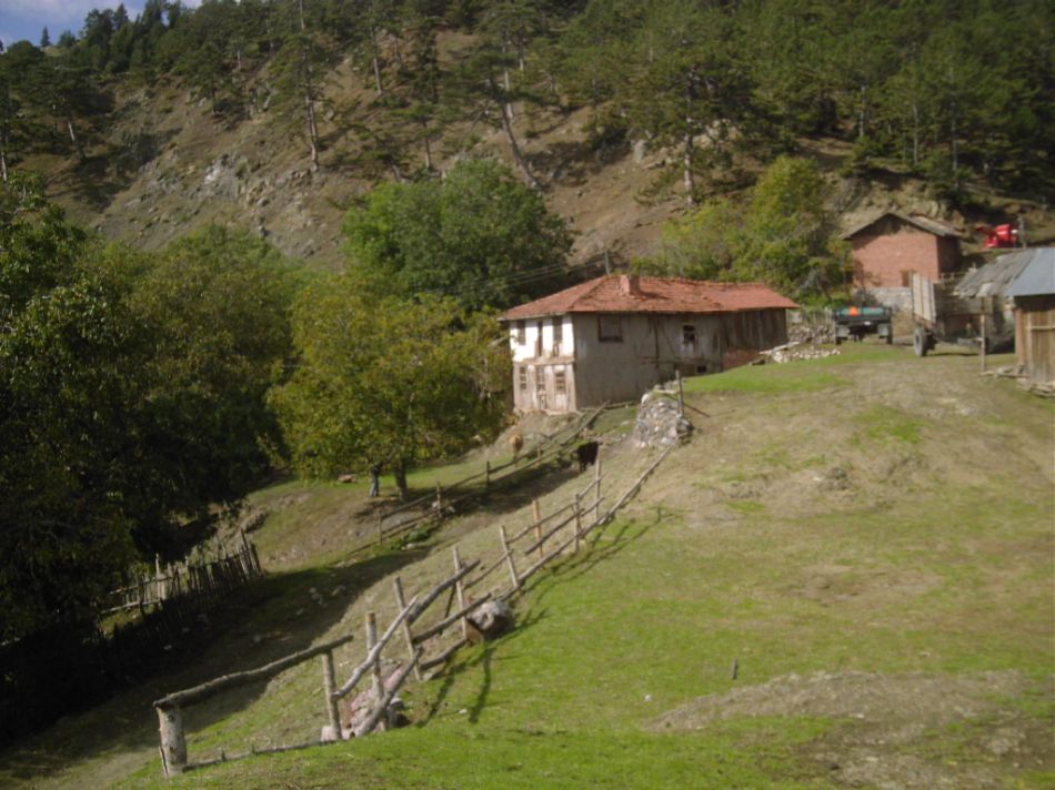 Sizden Gelenler — sizden gelenler 2193