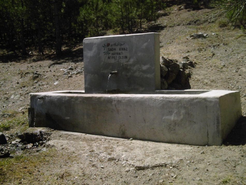 Sizden Gelenler — sizden gelenler 2196