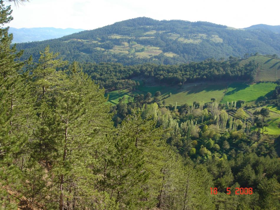 Sizden Gelenler — sizden gelenler 1208
