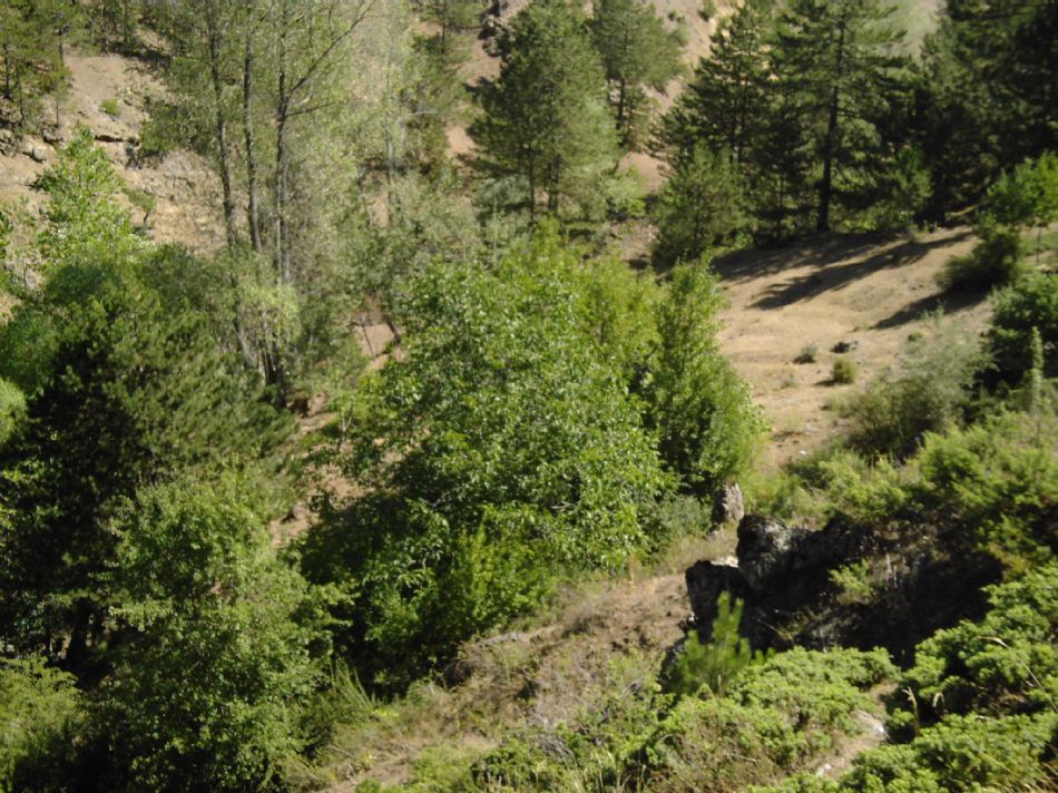 Sizden Gelenler — sizden gelenler 2201
