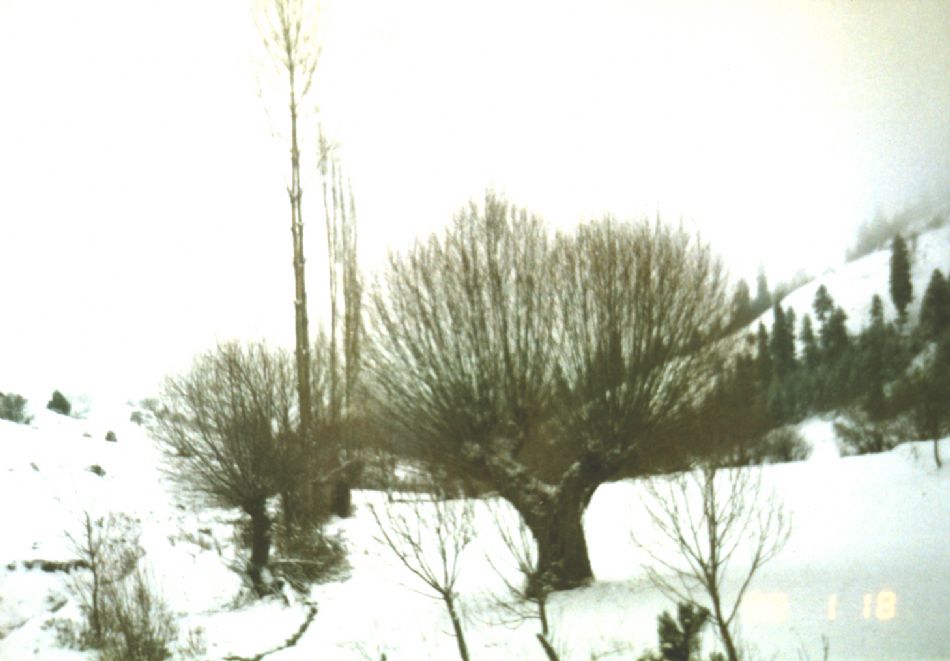 Sizden Gelenler — sizden gelenler 2207