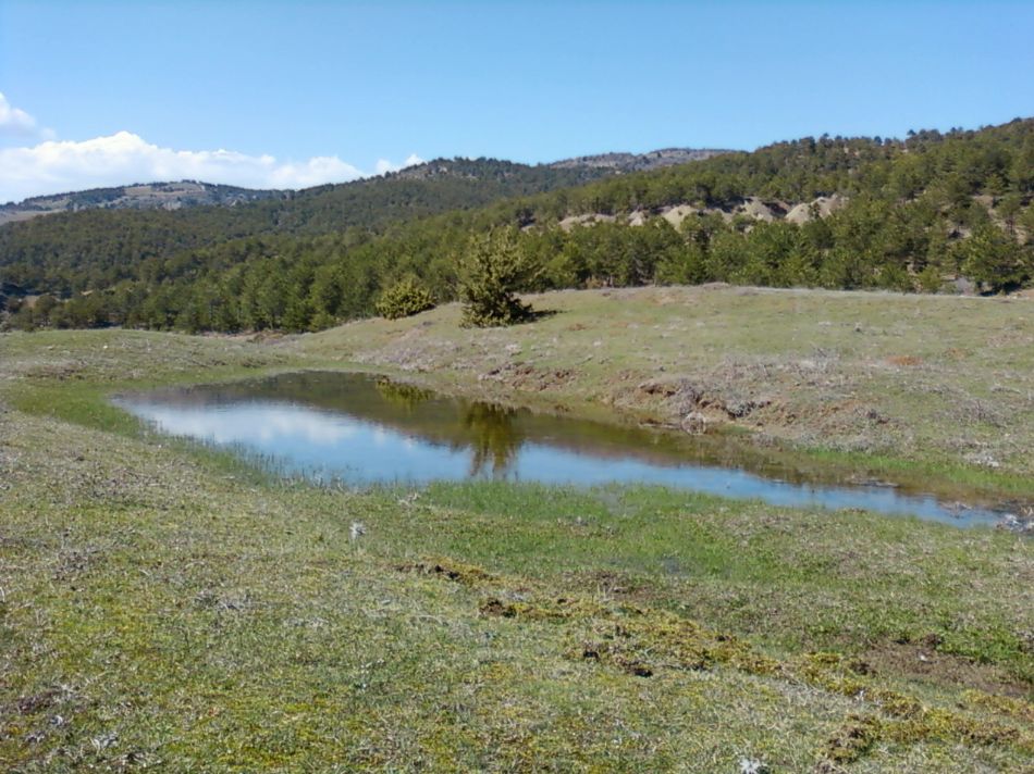 Sizden Gelenler — sizden gelenler 2531