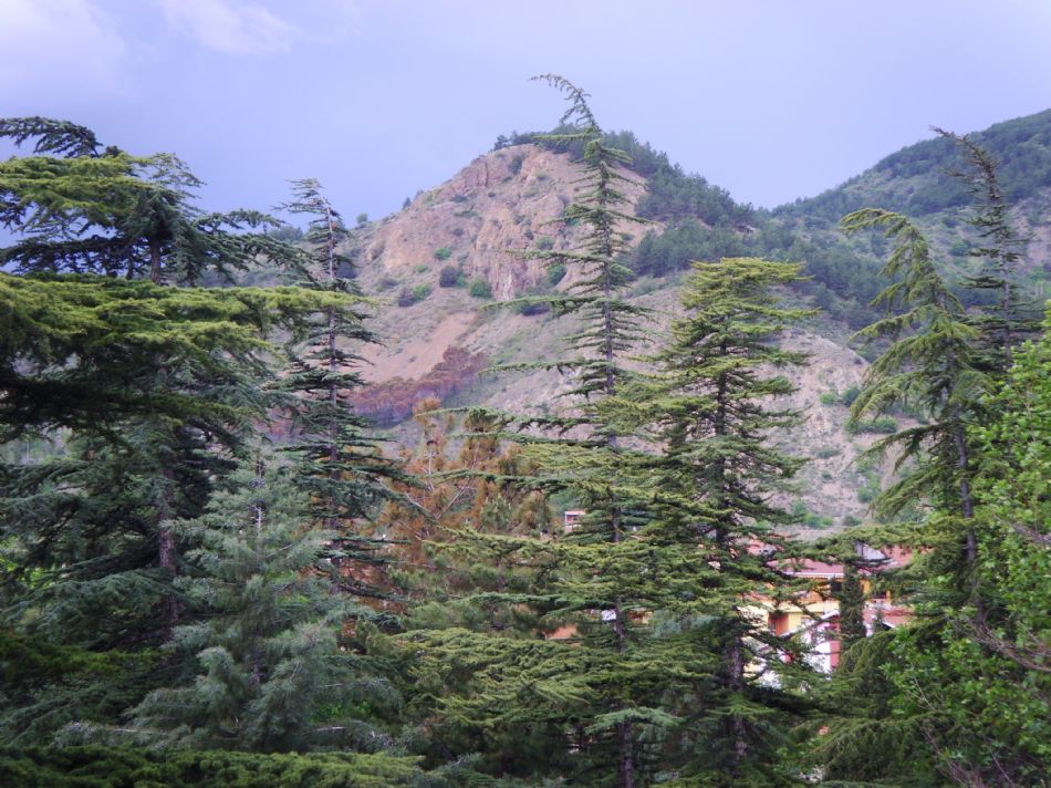 Sizden Gelenler — sizden gelenler 2536