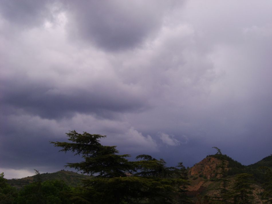 Sizden Gelenler — sizden gelenler 2537