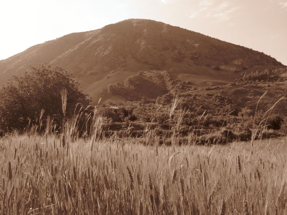 Sizden Gelenler — sizden gelenler 2654