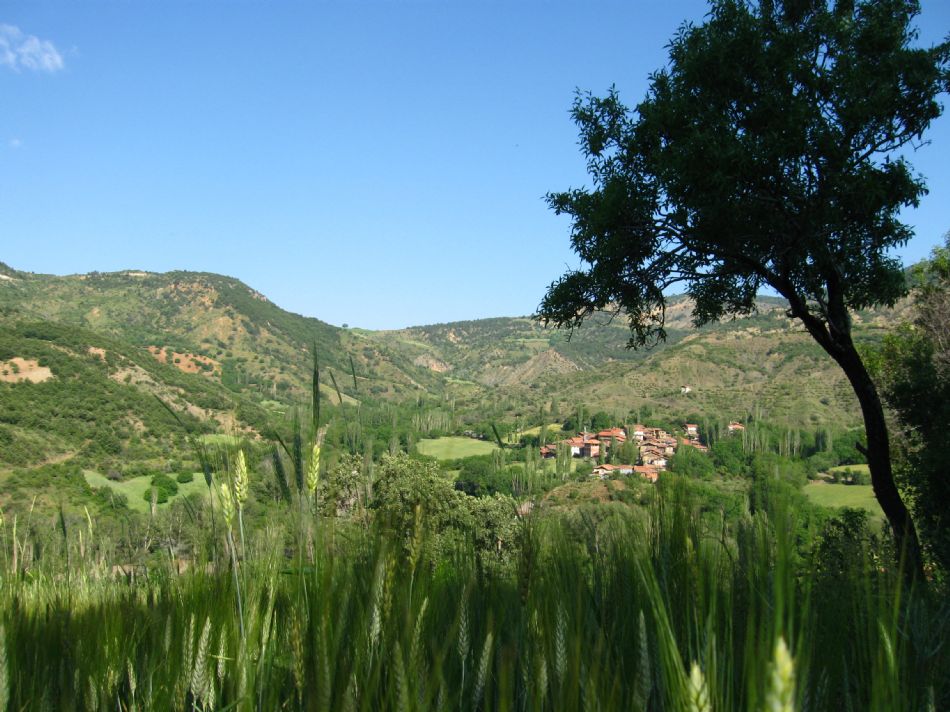 Sizden Gelenler — sizden gelenler 2656
