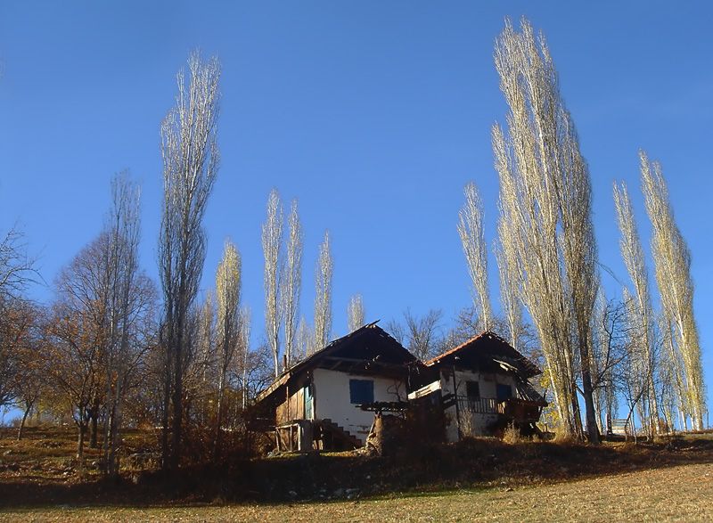 Sizden Gelenler — sizden gelenler 655