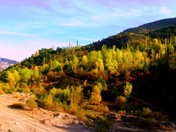Sizden Gelenler — sizden gelenler 656