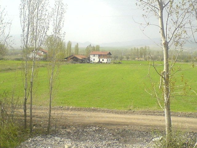 Sizden Gelenler — sizden gelenler 834