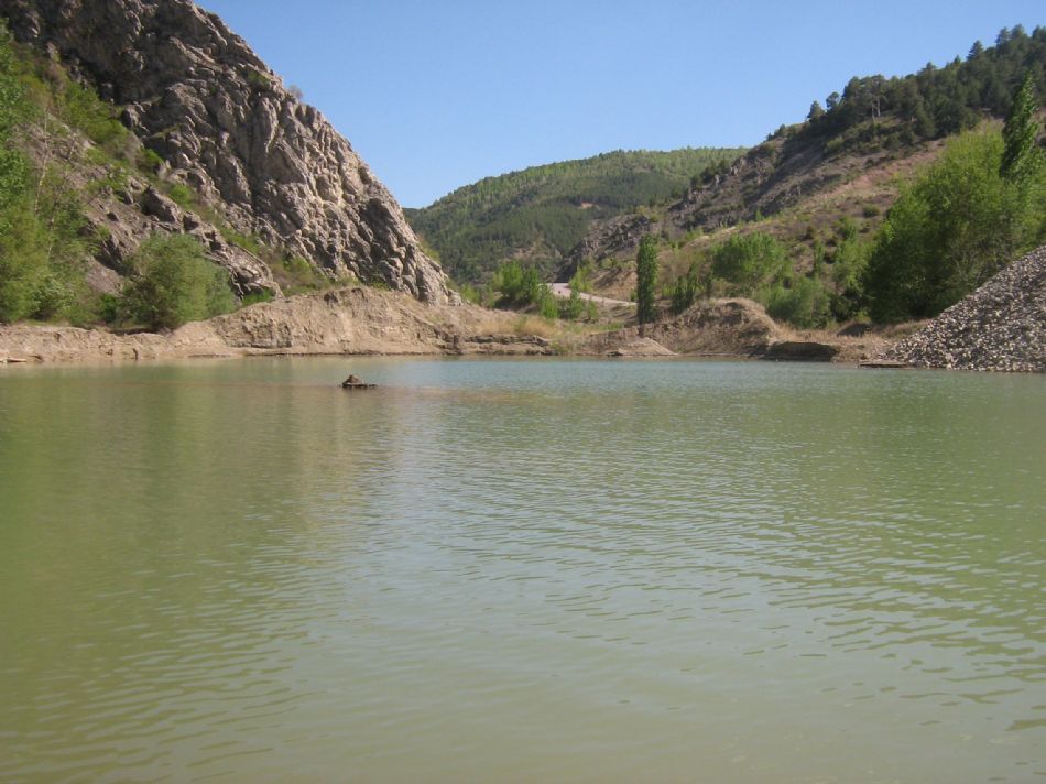 Sizden Gelenler — sizden gelenler 981