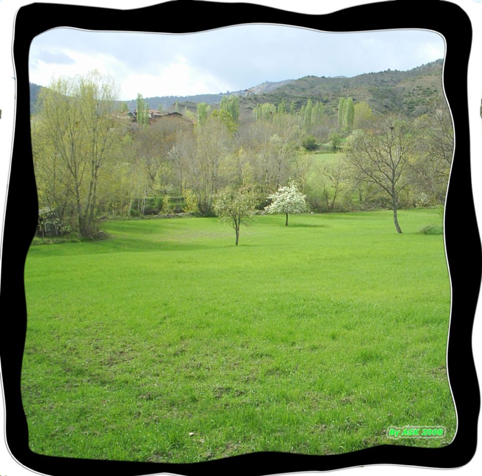 Sizden Gelenler — sizden gelenler 984