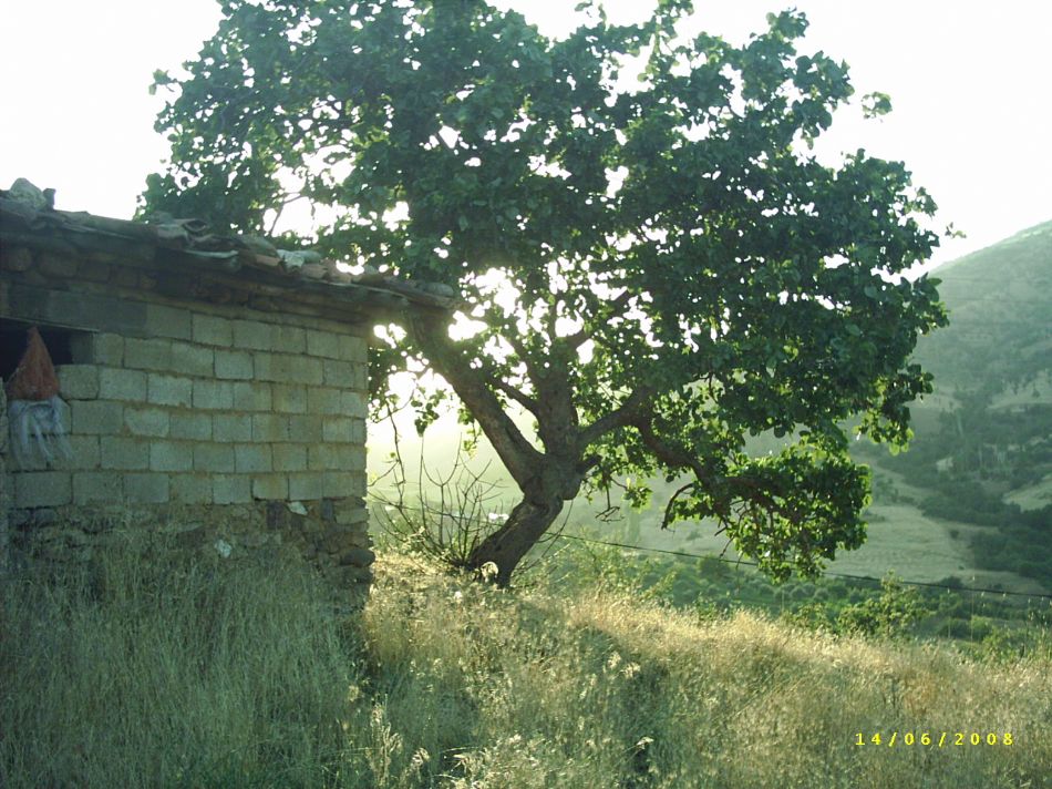 Sizden Gelenler — sizden gelenler 1608