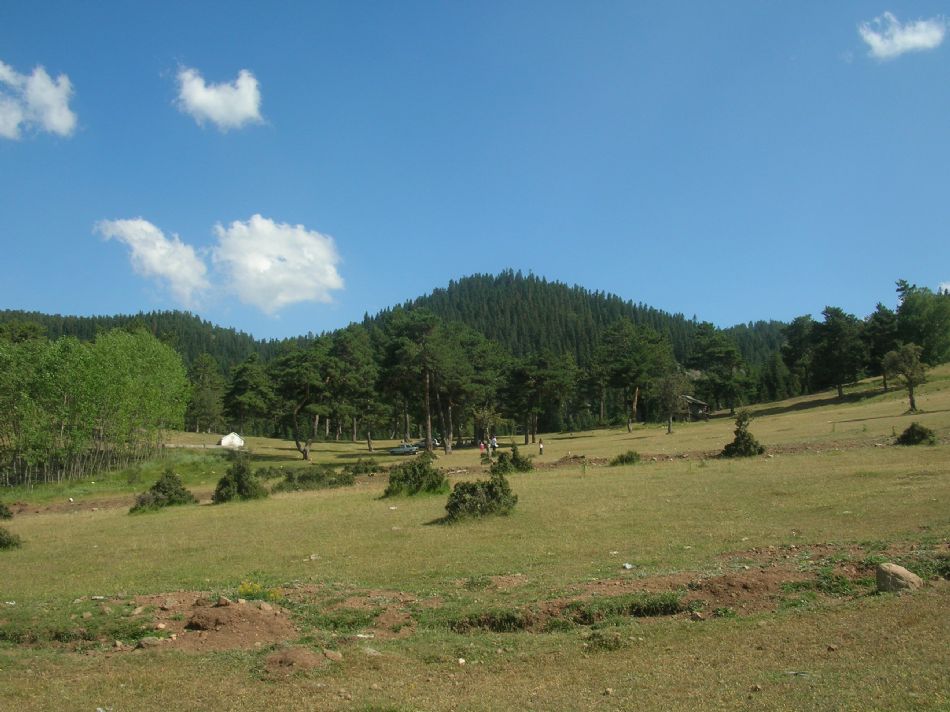 Sizden Gelenler — sizden gelenler 1613