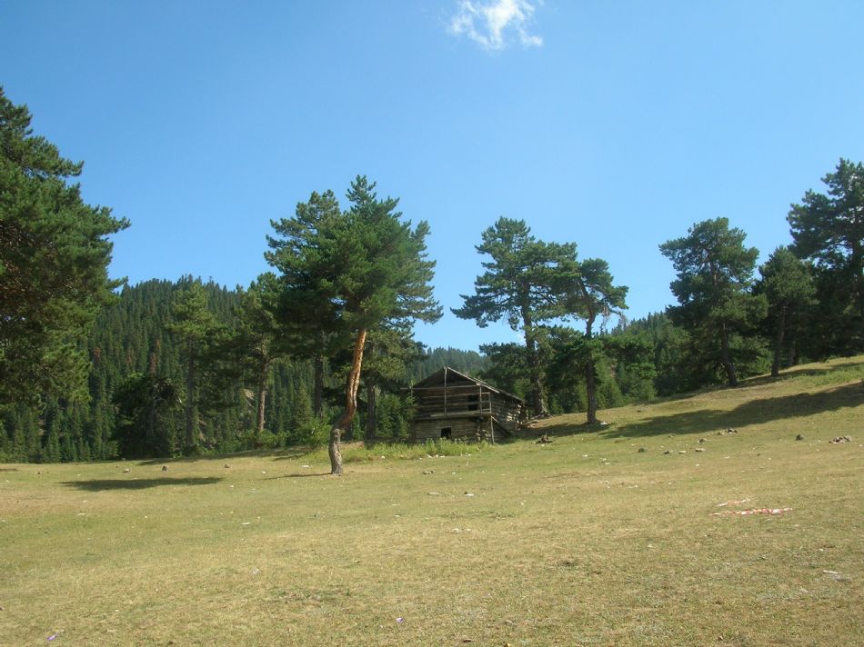 Sizden Gelenler — sizden gelenler 1614