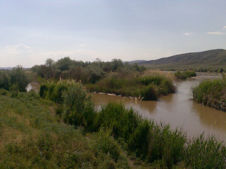 Sizden Gelenler — sizden gelenler 1148