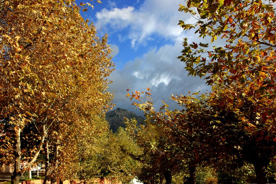 Yivlik Fotoğrafları — Yivlik Fotograflari 507