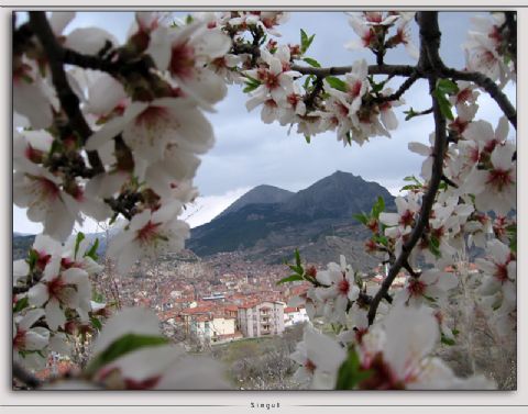 Yivlik Fotoğrafları — Yivlik Fotograflari 236