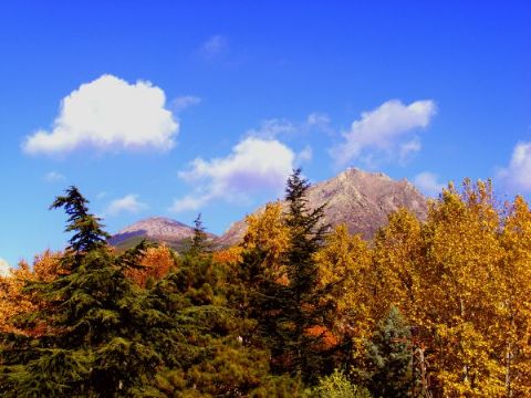 Yivlik Fotoğrafları — Yivlik Fotograflari 309